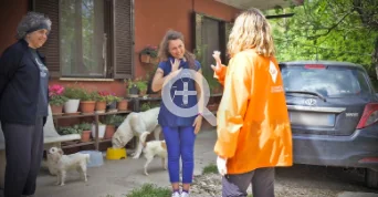 Lav, le proposte di aiuto alle famiglie con animali